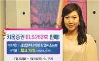 키움증권, 연 최고 25% 수익 ELS 263호 판매