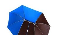 장마철의 필수품 ‘우산의 무한 변신’