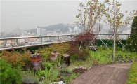 강북구,  민간건물 옥상녹화 사업 추진 