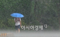 [포토] 빗줄기 무섭네