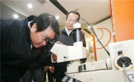 나홀로 사면…최태원 회장 '경제활성화' 부응할까(종합)