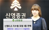 신영證, 지수형 ELS 포함 2종 판매