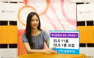 신한금융투자, ELS 11종·DLS 1종판매