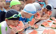 [포토]수영장에서 펼쳐진 수박 빨리먹기 대회