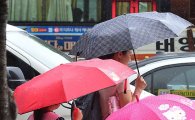 [포토]옹기종기 모인 우산