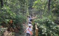 용산구, 응봉공원 유아숲체험장 개방