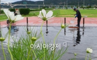 한 풀 꺾인 더위, 왜인가 보니 오늘이 '처서'