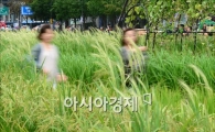 [포토]가을바람에 흔들리는(?) 여심