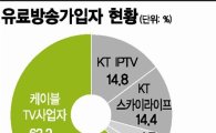 IPTV법 논란.. "KT 쏠림현상 더욱 커질 것" 우려
