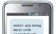 이달부터 카드 누적사용금액도 실시간 문자로 받아본다