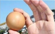달걀 흰자 팩 만들기…"각질·블랙헤드 제거에 효과적"