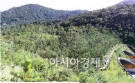 인천 52㎞ 생태축 복원 '대역사' 완성 눈 앞