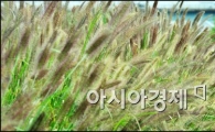 [포토]가을 냄새 물씬