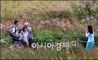 [포토]억새 속에서 가족사진 한 컷