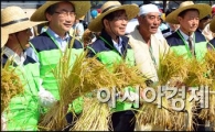 [포토]박원순 시장, 벼들고 기념사진