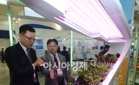 [포토] 재생에너지로 채소 기르는 스마트팜
