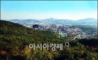 [포토]남산 N타워에서 내려본 서울