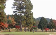 [김맹녕의 골프기행] "가을단풍이 백미" 일본 교토