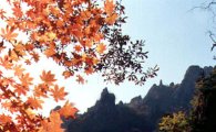 '설악산'·'순천만'..사진찍기 좋은 가을풍경 문화재 30선