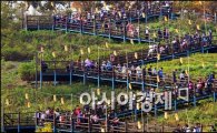[포토]하늘공원 계단 오르는 시민들