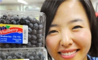 홈플러스, 국내 최초 칠레산 생 블루베리 판매