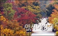 [포토]서울숲 공원에서 가을 만끽