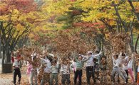 깊어가는 가을‥ 서울대공원 단풍풀장에 빠져 보자