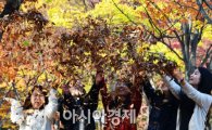 [포토]낙엽 놀이는 즐거워