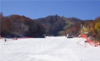 [포토]가을단풍과 함께 하는 낭만 스키