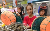[포토]제주 해녀가 채취한 참소라!