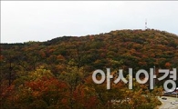 [포토]남산의 가을