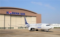 대한항공, 세번째 '스카이팀 홍보항공기' 운영
