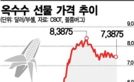 모건스탠리 "옥수수 가격 최대 34% 급등"