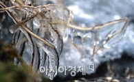 [포토]청계천 얼음꽃 