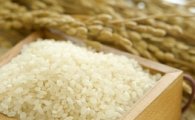 "쌀값 사상 최고"..32년 만의 흉작이 급등 불렀다