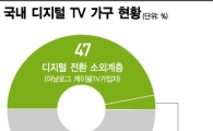 [D-30 디지털TV시대 下] 반쪽짜리 디지털 전환..대안은 