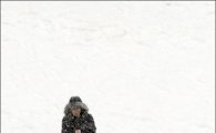 [포토]눈밭 위, 관능적인 자태