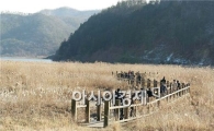 장흥 문화원, 장흥문화 속살읽기 진행