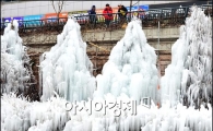 [포토]얼음나무가 청계천에