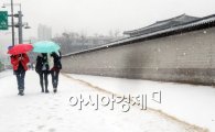 [포토]하얀 눈밭 위에 알록달록 우산들 