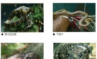 "'뱀' 만져보고, 목에 둘러보고" 서울동물원 뱀 체험展