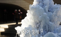 [포토]신기한 한국의 얼음나무 