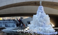 [포토]청계천의 얼음나무 