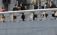 [포토]얼음나무가 꽁꽁 