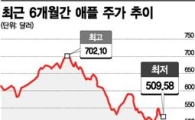 애플 주가 헷갈려, 300달러냐 1000달러냐