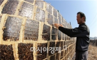 [포토]이게 바로 원조 "김" 맛이여
