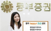 동부證, 해피플러스 DLS 공모