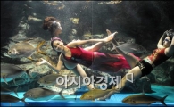 [포토]아름다운 뮤지컬을 물 속에서