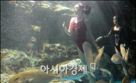 [포토]수중 뮤지컬 보러 63씨월드로