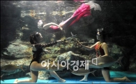 [포토]수중 뮤지컬이란 이런것